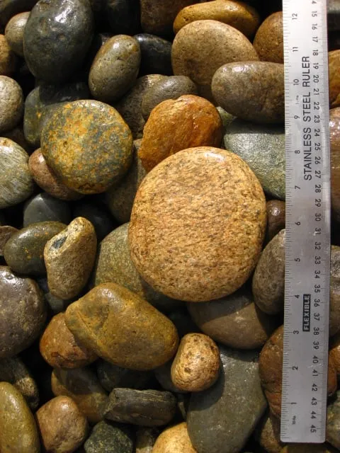 Affordable lawn care service experts serving San Luis Obispo, CA - Central Coast Landscape Products