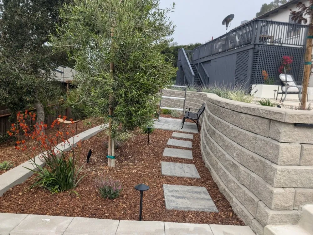 Top-rated lawn care service in Salinas, CA - Central Coast Landscaping and Design