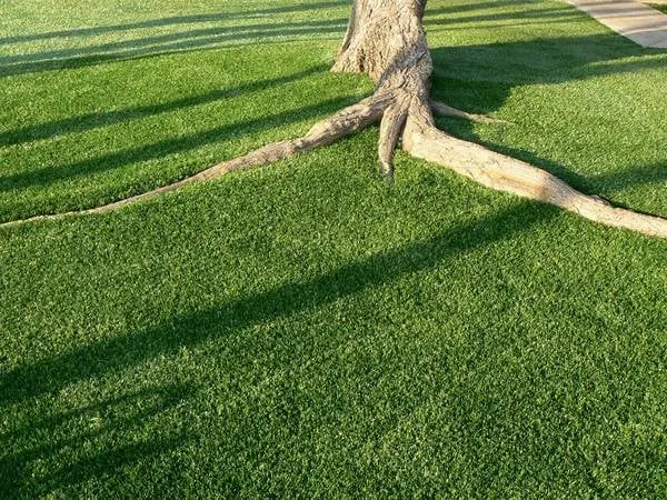 Local residential landscaping experts serving San Luis Obispo, CA - Central Coast Synthetic Turf
