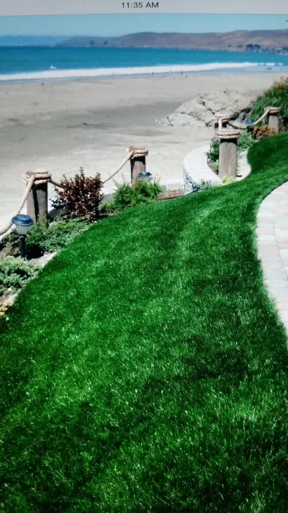 Affordable landscape design for beautiful yards across San Luis Obispo, CA - Central Coast Synthetic Turf