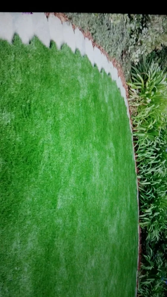 Affordable landscape design with custom design across San Luis Obispo, CA - Central Coast Synthetic Turf