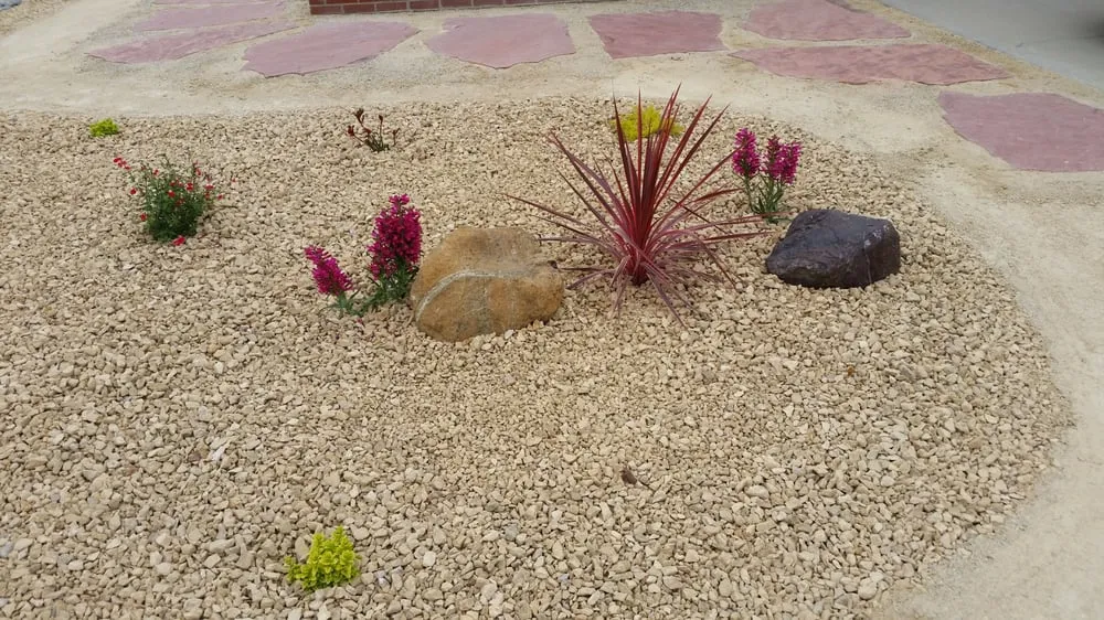 Custom lawn care service experts serving Santa Maria, CA - Central Coast Water and Landscape Management