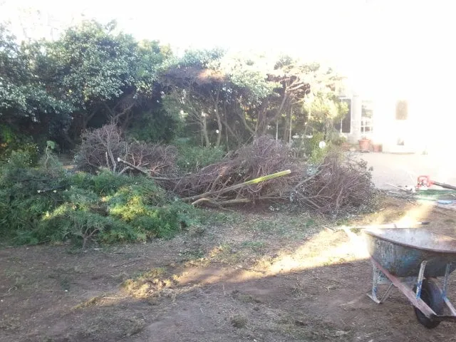 Professional garden landscaping in Santa Maria, CA - Central Coast Water and Landscape Management