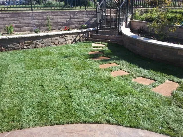 Professional yard maintenance experts serving Santa Maria, CA - Central Coast Water and Landscape Management