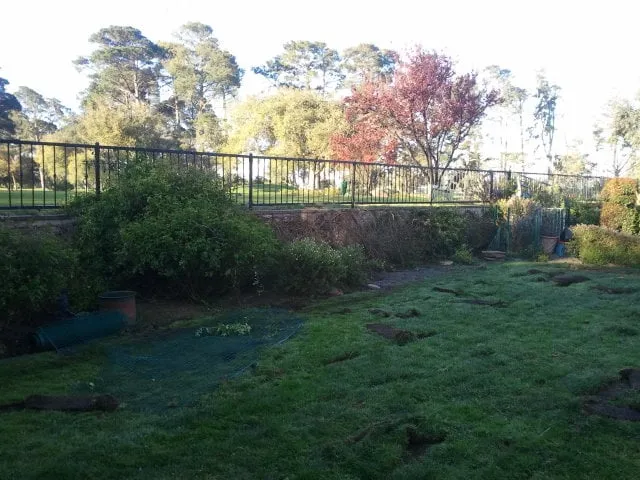 Top-rated lawn care service near you in Santa Maria, CA by Central Coast Water and Landscape Management