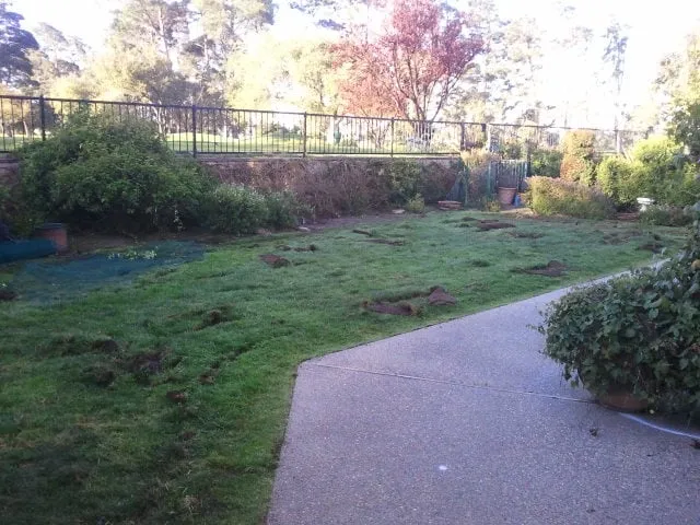Local outdoor landscaping for beautiful yards across Santa Maria, CA - Central Coast Water and Landscape Management