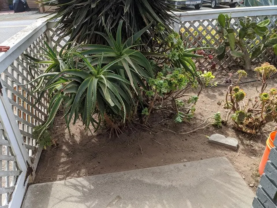 Local landscape installation with custom design across Los Osos, CA - Central Coast Weed Pullers