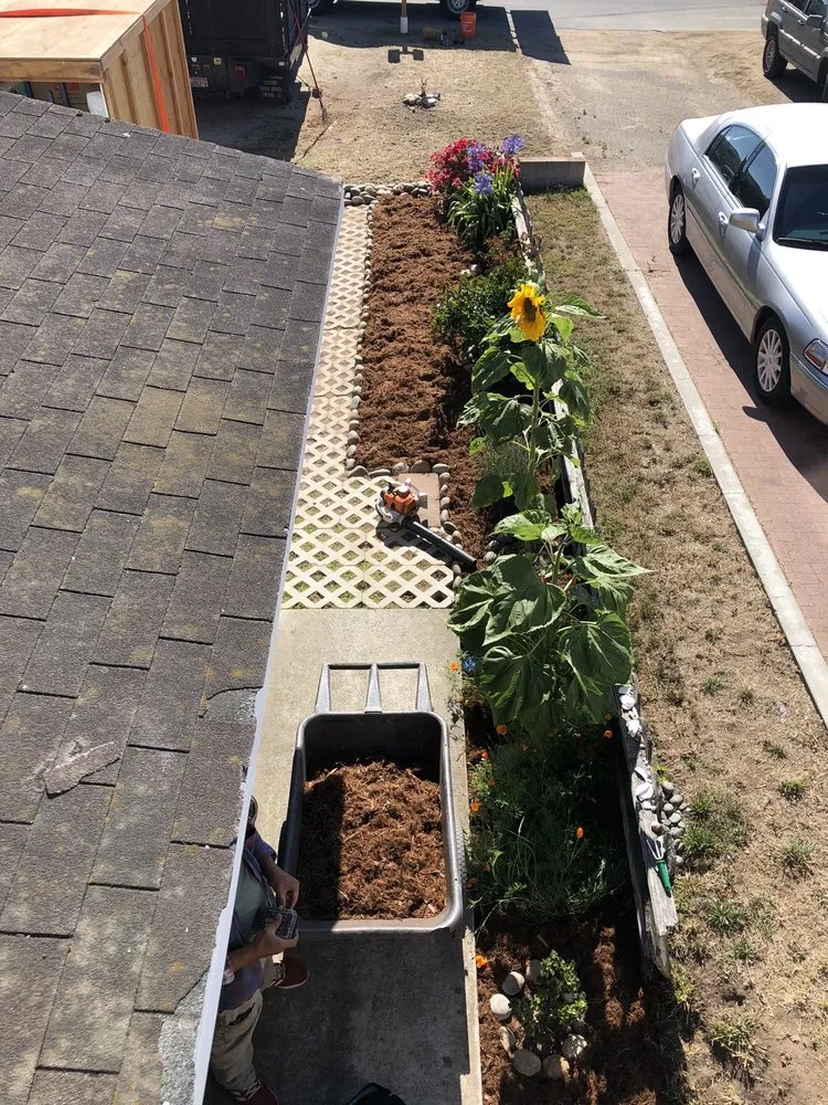 Reliable lawn care service with custom design across Los Osos, CA - Central Coast Weed Pullers