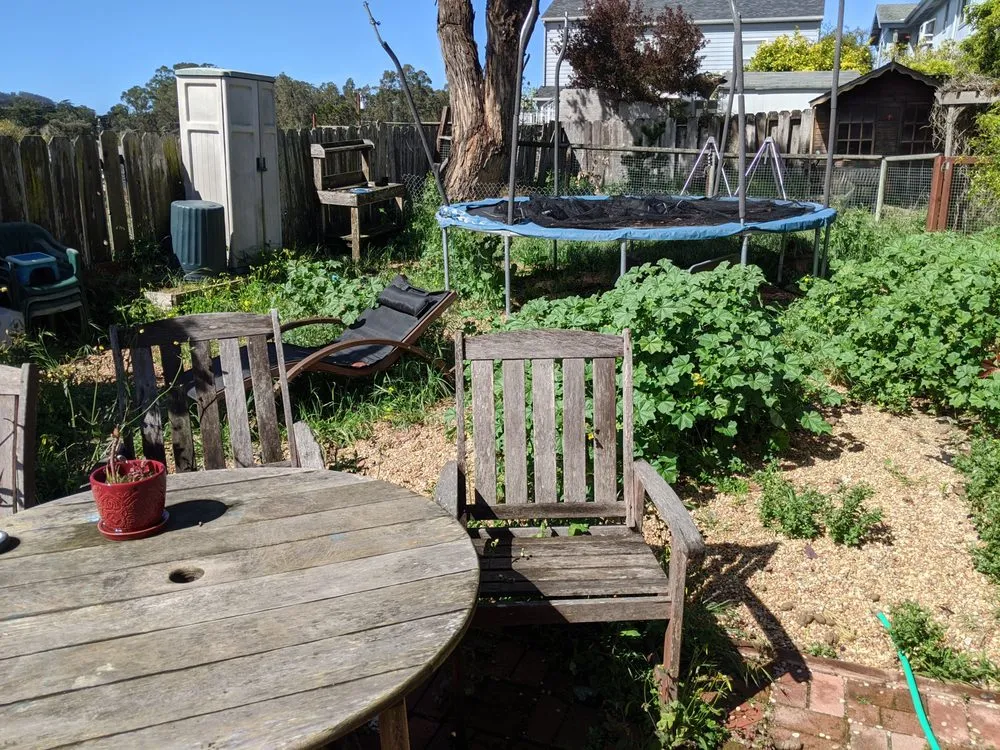 Trusted lawn care service in Los Osos, CA - Central Coast Weed Pullers