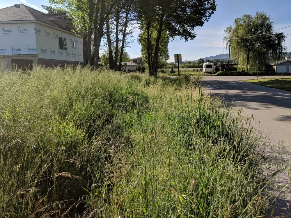 Professional yard cleanup service in Los Osos, CA by Central Coast Weed Pullers