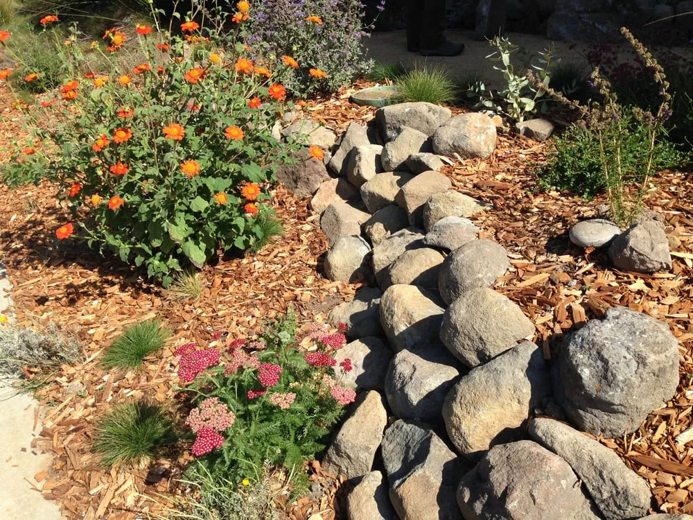 Trusted landscape design for beautiful yards across Santa Cruz, CA - Central Coast Wilds