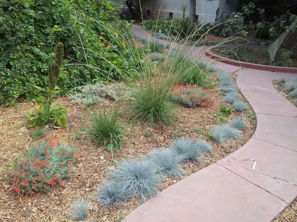 Local lawn care service near you in Santa Cruz, CA by Central Coast Wilds