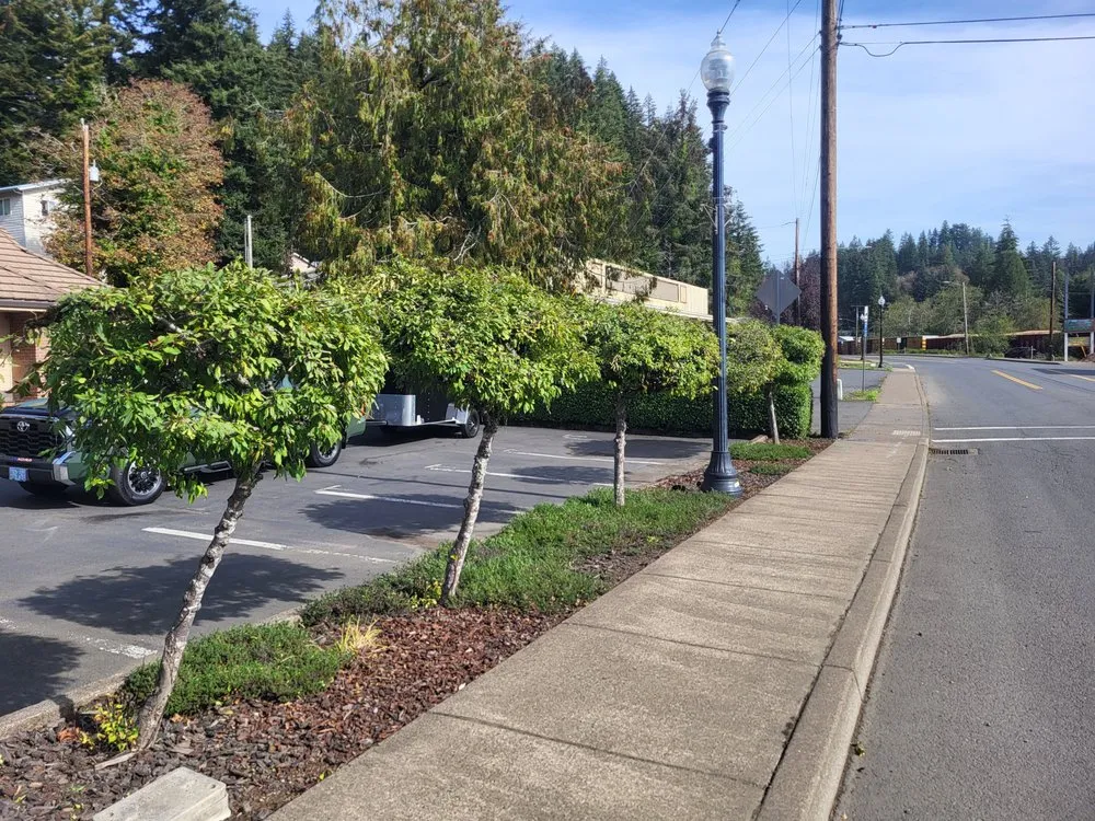 Reliable outdoor landscaping for beautiful yards in Lebanon, OR by Central Coast Yard Maintenance