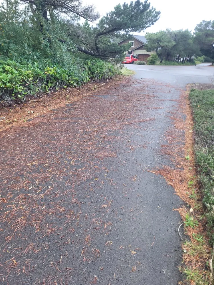 Reliable lawn mowing service in Lebanon, OR - Central Coast Yard Maintenance