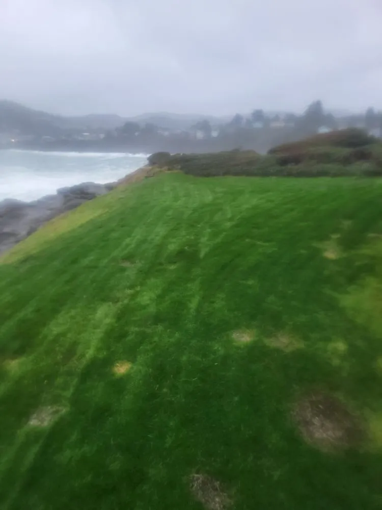 Expert garden landscaping in Lebanon, OR by Central Coast Yard Maintenance