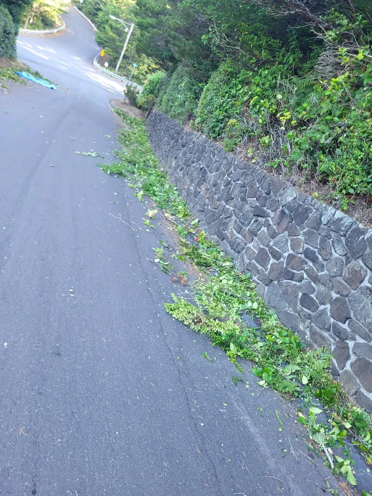 Professional garden landscaping in Lebanon, OR - Central Coast Yard Maintenance