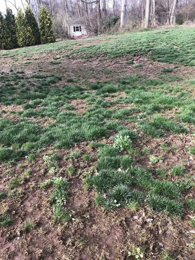 Custom garden landscaping experts serving Glastonbury, CT - Central Connecticut Lawn Service