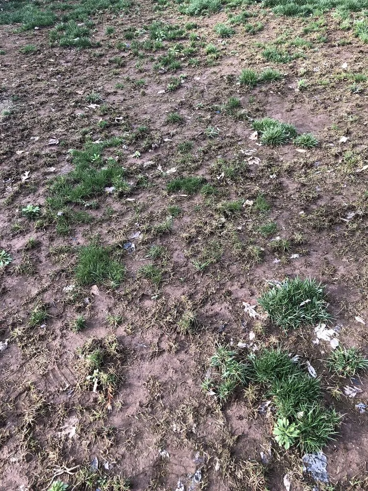 Professional lawn mowing service for homes across Glastonbury, CT - Central Connecticut Lawn Service