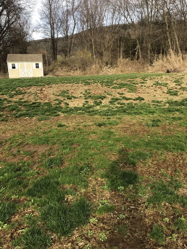 Trusted garden landscaping in Glastonbury, CT - Central Connecticut Lawn Service