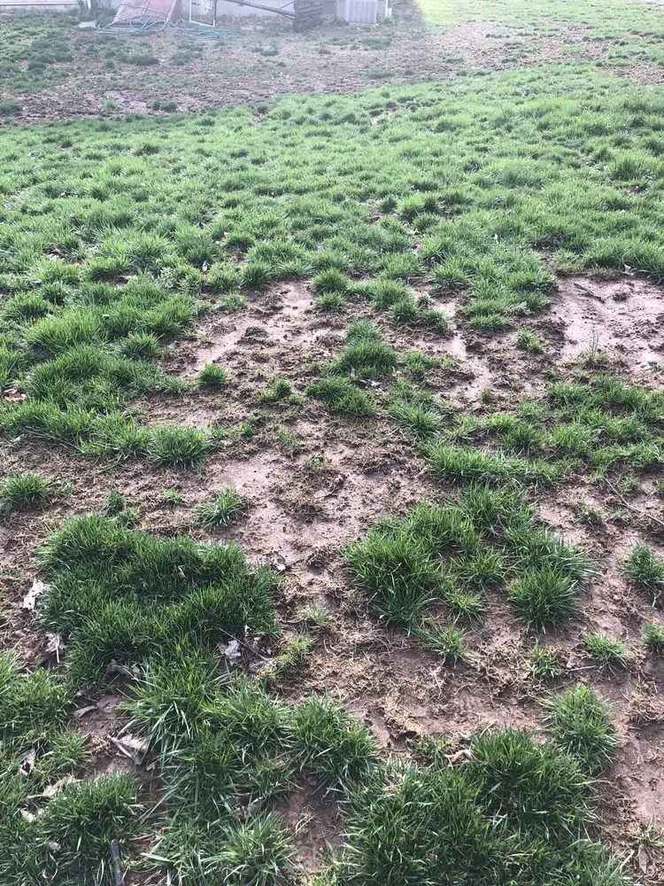 Expert landscaping services experts serving Glastonbury, CT - Central Connecticut Lawn Service