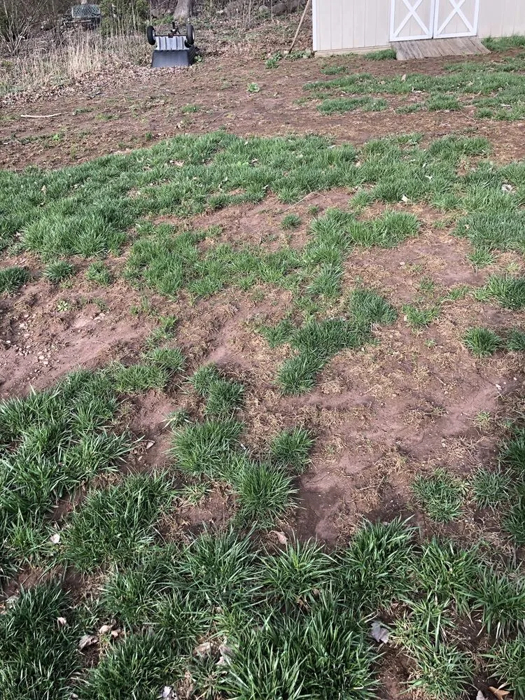 Reliable landscape installation experts serving Glastonbury, CT - Central Connecticut Lawn Service