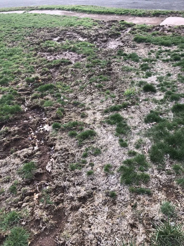 Trusted garden landscaping with custom design in Glastonbury, CT by Central Connecticut Lawn Service