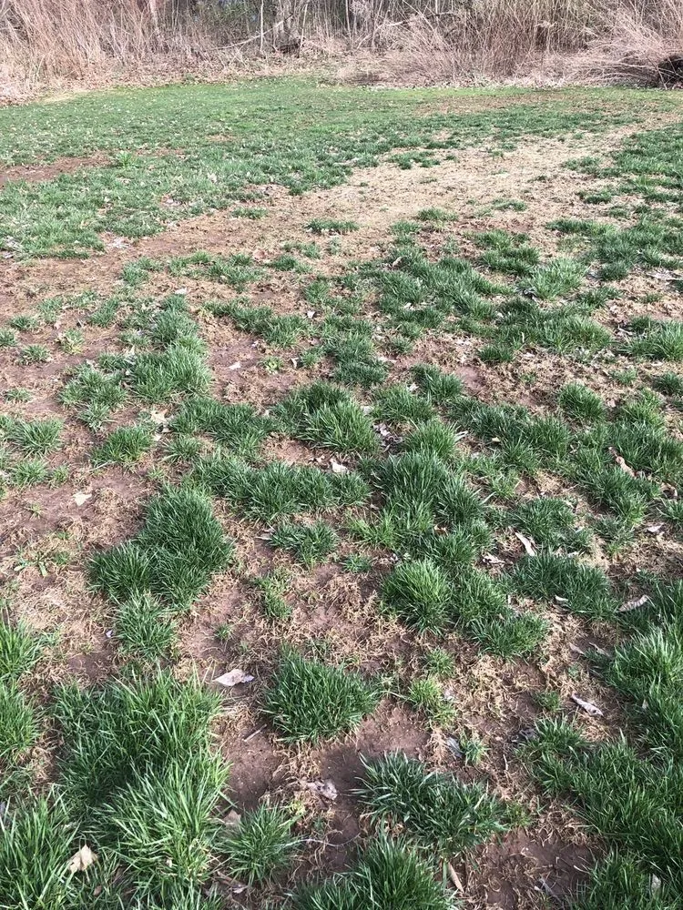 Local landscape installation experts serving Glastonbury, CT - Central Connecticut Lawn Service