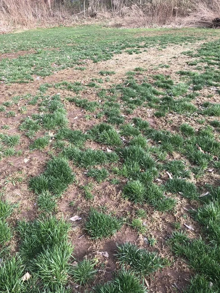 Affordable landscape design for residential properties across Glastonbury, CT - Central Connecticut Lawn Service