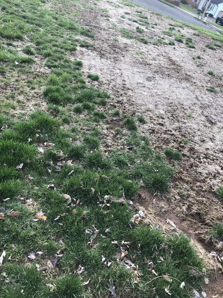 Expert lawn mowing service for beautiful yards in Glastonbury, CT by Central Connecticut Lawn Service