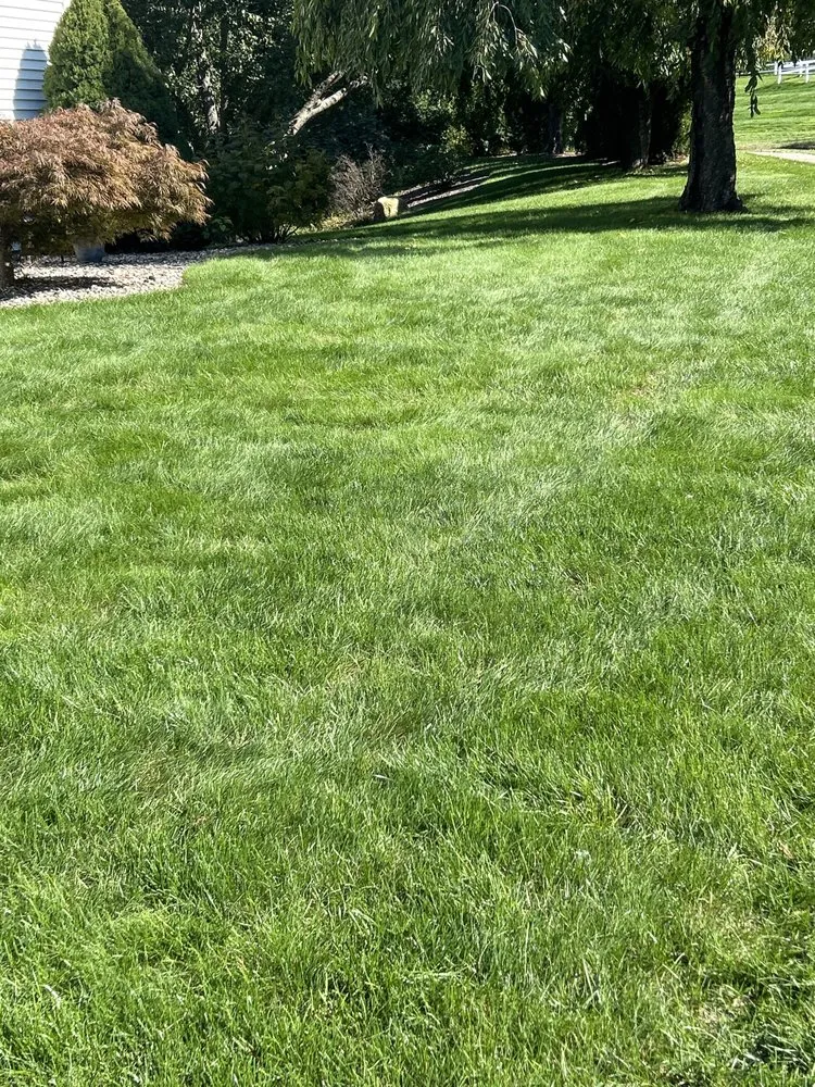 Local lawn mowing service for outdoor upgrades across Berlin, CT - Central Ct Lawn Service
