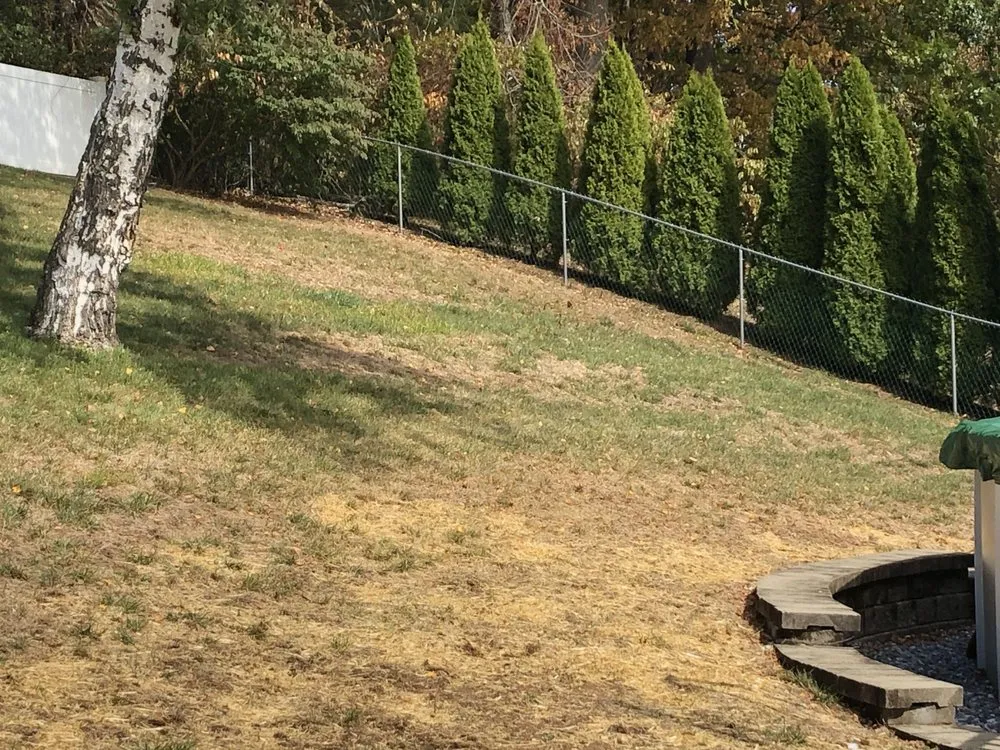 Expert yard maintenance in Berlin, CT - Central Ct Lawn Service