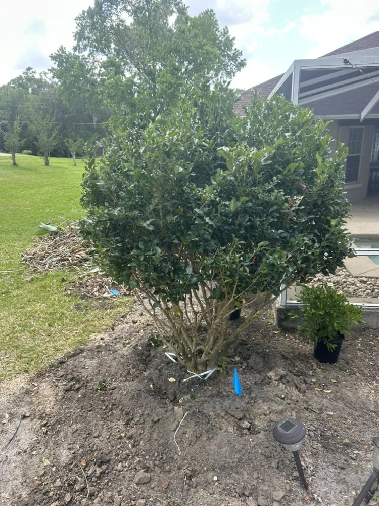 Trusted lawn care service in Silver Springs, FL - Central FL Landscape Designs