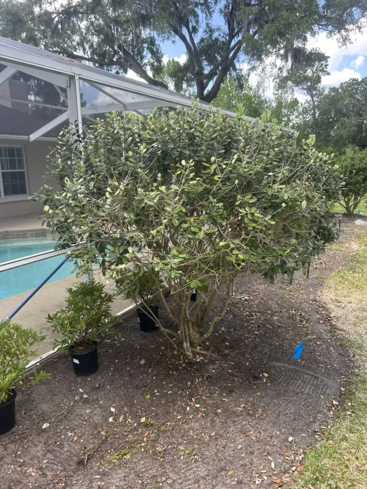 Custom garden landscaping in Silver Springs, FL - Central FL Landscape Designs