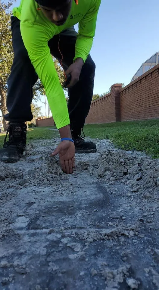 Affordable outdoor landscaping in Sanford, FL by Central Florida Irrigation & Lighting