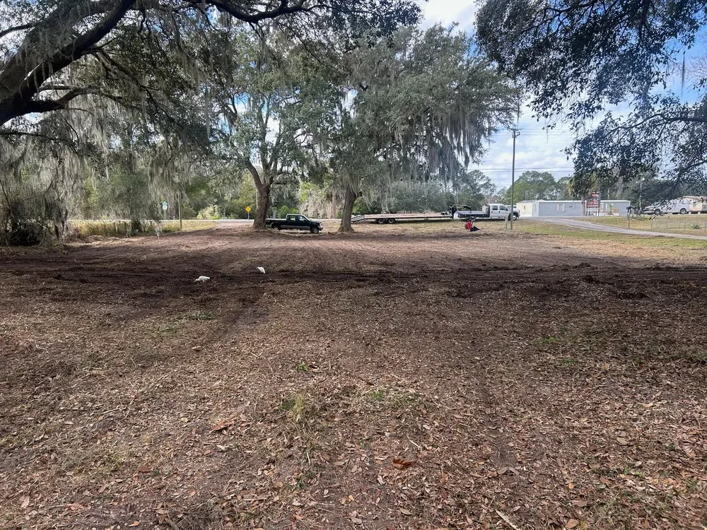 Affordable lawn mowing service experts serving Weirsdale, FL - Central Florida Land Clearing