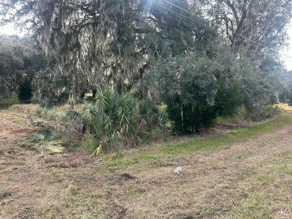 Affordable landscape design in Weirsdale, FL - Central Florida Land Clearing