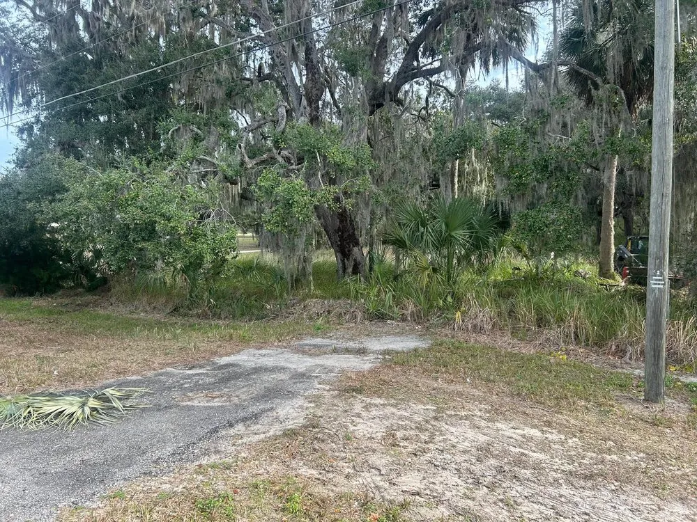 Local lawn care service for homes in Weirsdale, FL by Central Florida Land Clearing