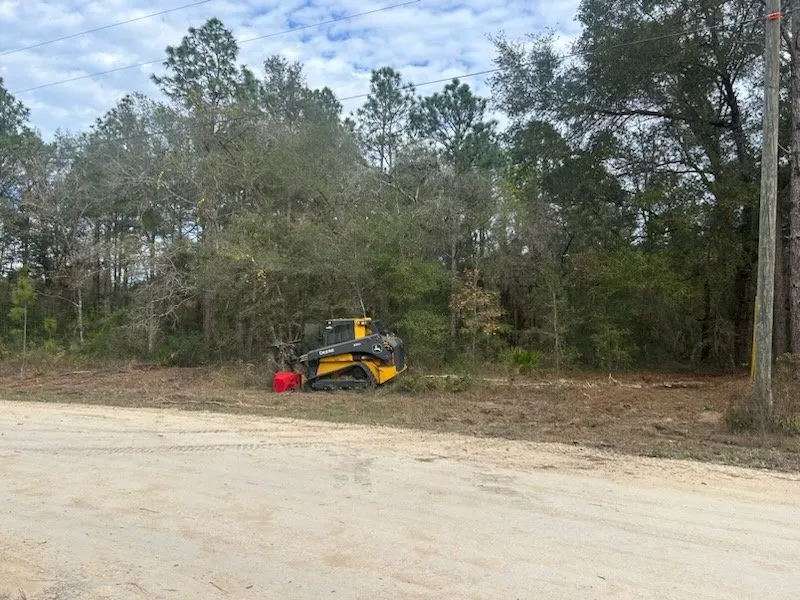 Affordable landscape design experts serving Weirsdale, FL - Central Florida Land Clearing
