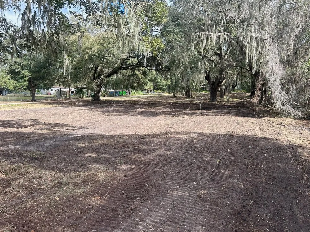 Local landscape design with custom design in Weirsdale, FL by Central Florida Land Clearing