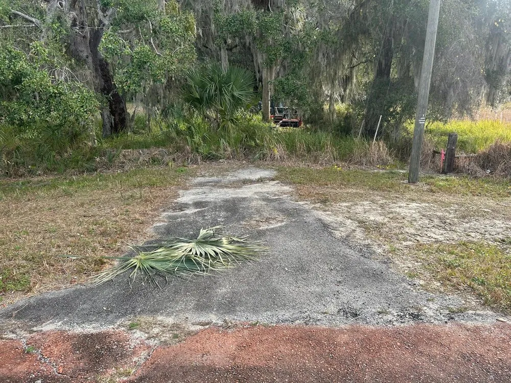 Top-rated landscape installation in Weirsdale, FL - Central Florida Land Clearing
