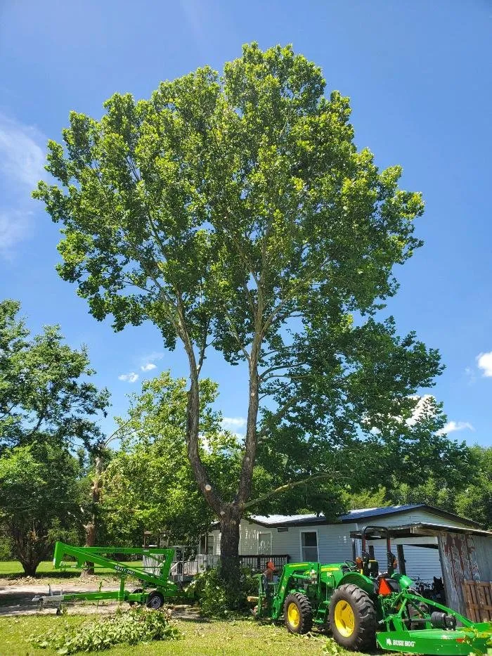 Trusted landscape installation for beautiful yards in Chiefland, FL by Central Florida Lawn Land and Tree Management