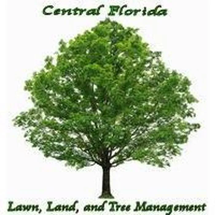 Affordable yard cleanup service for residential properties in Chiefland, FL by Central Florida Lawn Land and Tree Management