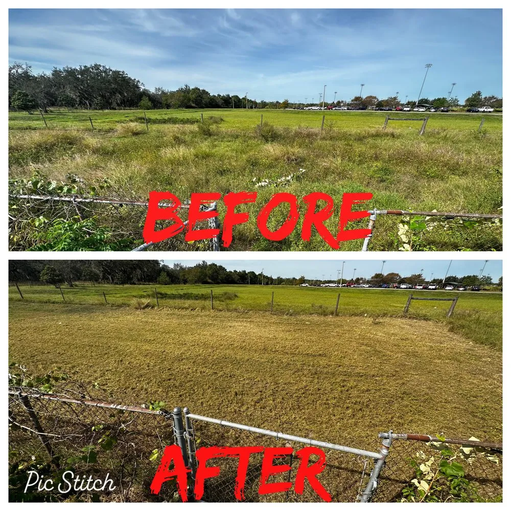 Professional landscaping services experts serving Winter Haven, FL - Central Florida Lawn Troopers