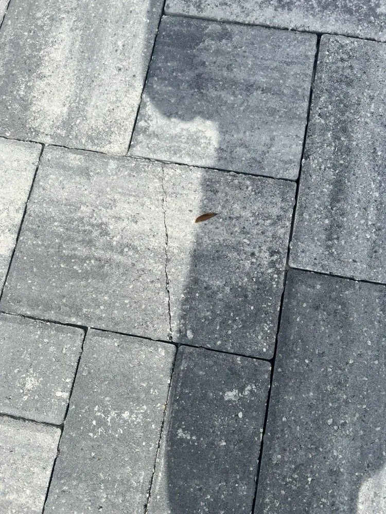 Affordable landscaping services in Winter Garden, FL by Central Florida Paver Pros