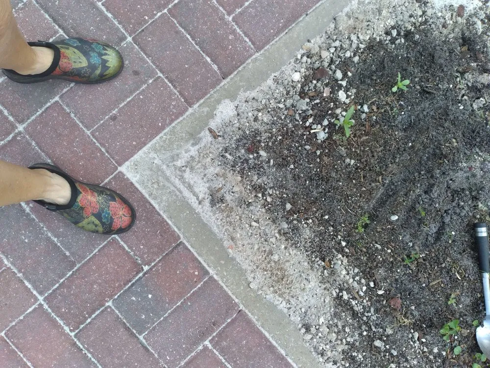 Trusted yard cleanup service in Winter Garden, FL - Central Florida Paver Pros