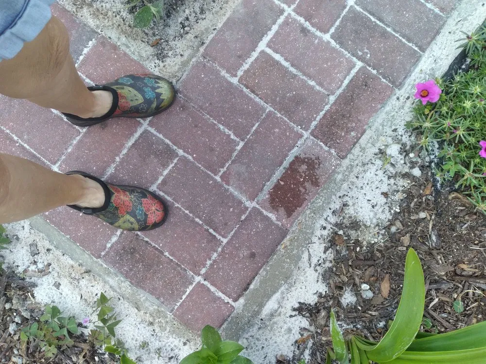 Professional yard maintenance near you across Winter Garden, FL - Central Florida Paver Pros