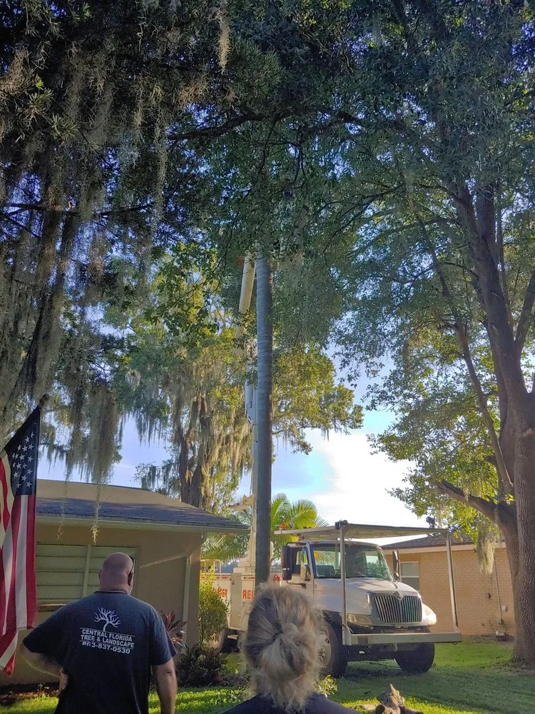 Top-rated yard maintenance in Lake Wales, FL - Central Florida Tree and Landscape