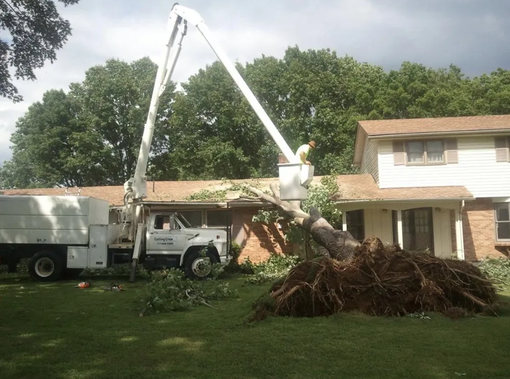 Trusted yard maintenance in Lake Wales, FL - Central Florida Tree and Landscape