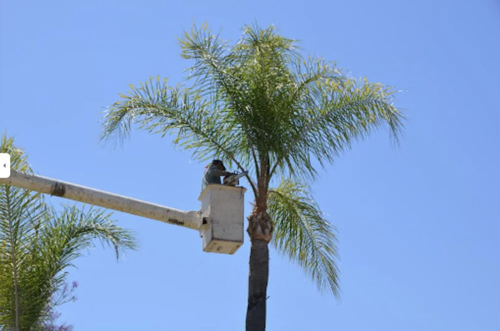 Top-rated garden landscaping for year-round maintenance in Lake Wales, FL by Central Florida Tree and Landscape