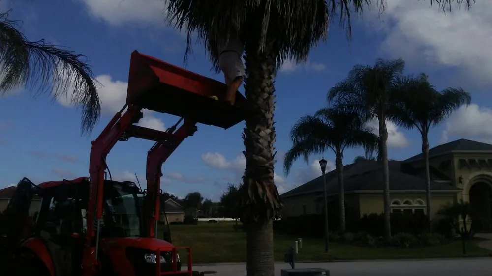 Custom outdoor landscaping in Lake Wales, FL by Central Florida Tree and Landscape